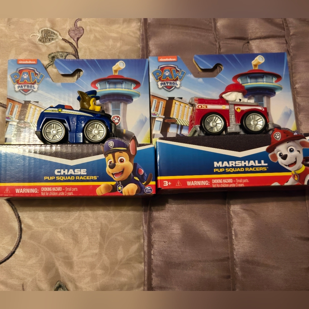 Paw Patrol Pup Squad Racers